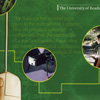 Annual Report