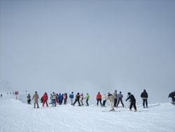 Ski group